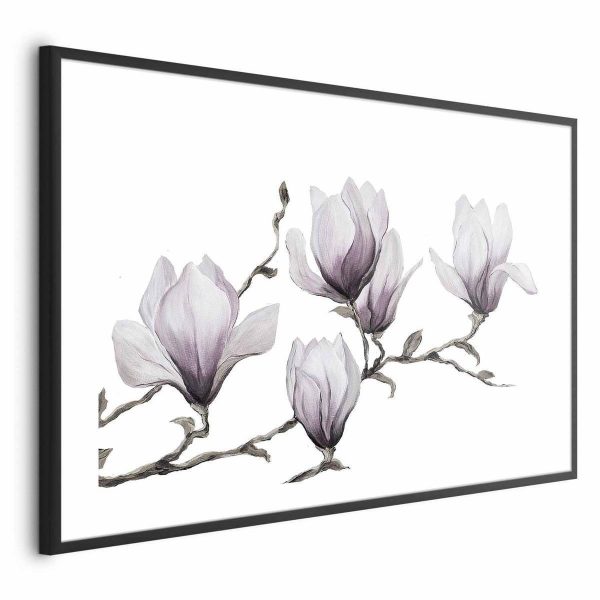 Poster - Painted Magnolias