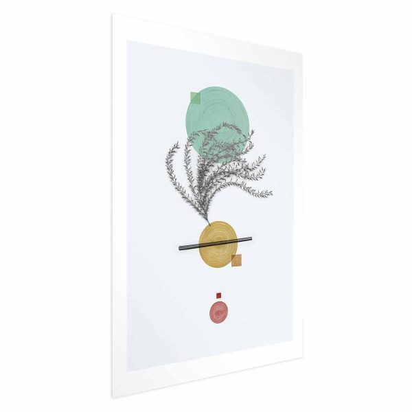 Poster - Plant Composition