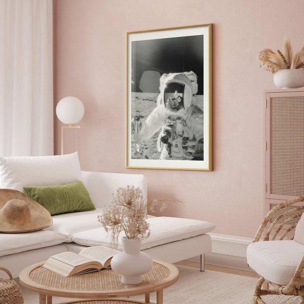 Poster - Profession: Astronaut