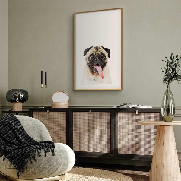 Poster - Pug