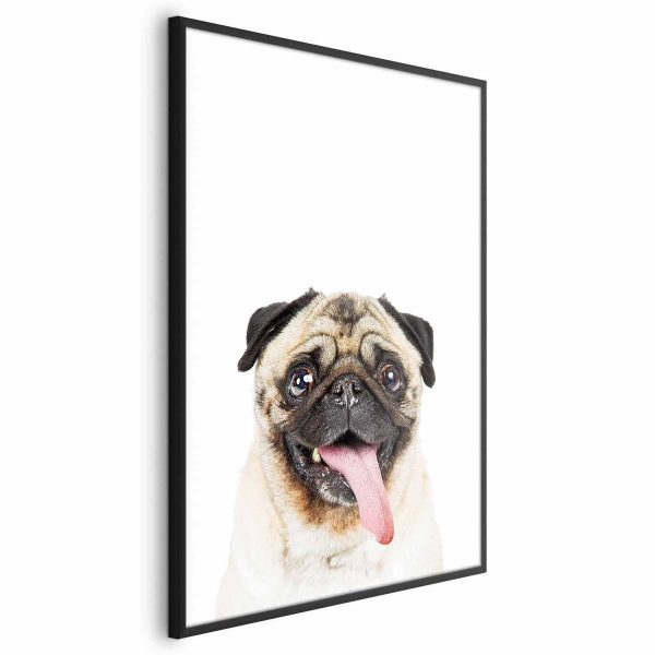 Poster - Pug