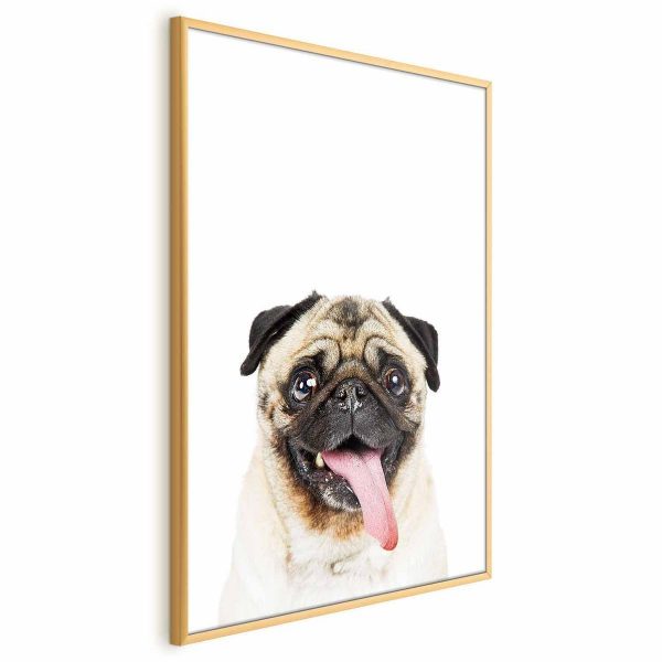 Poster - Pug