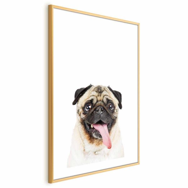 Poster - Pug