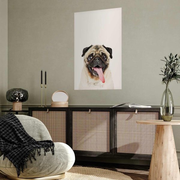 Poster - Pug