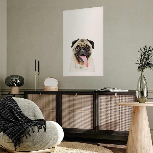 Poster - Pug