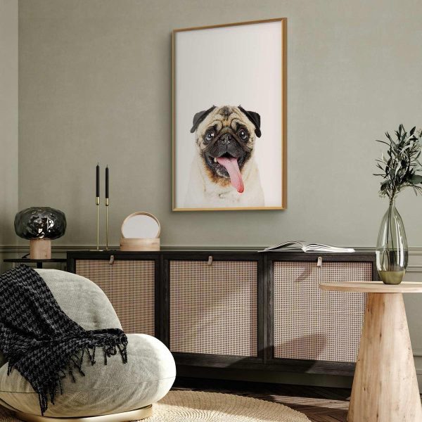 Poster - Pug