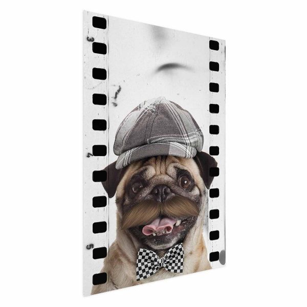 Poster - Pug in a Hat