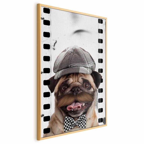 Poster - Pug in a Hat