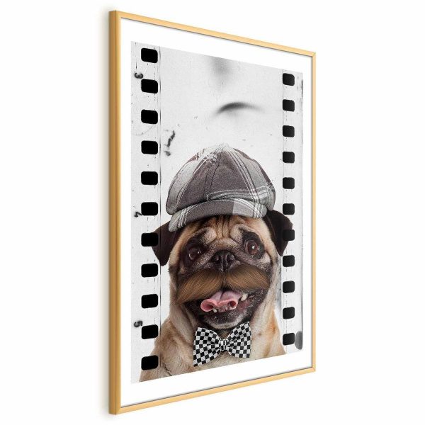 Poster - Pug in a Hat