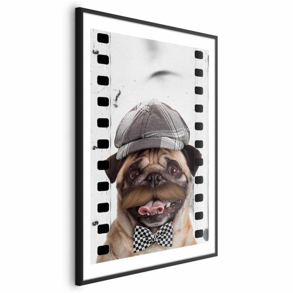Poster - Pug in a Hat