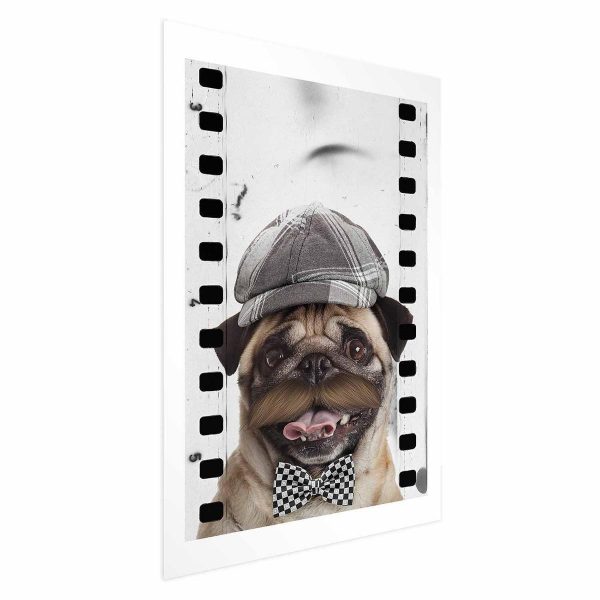 Poster - Pug in a Hat
