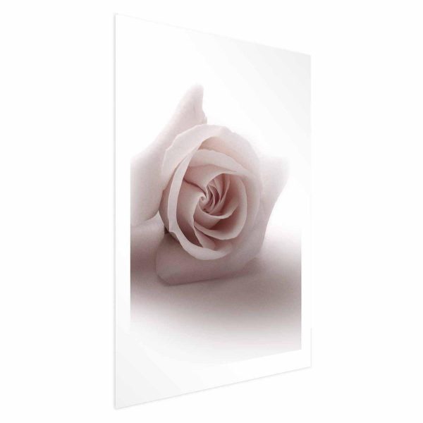 Poster - Rose Shadow