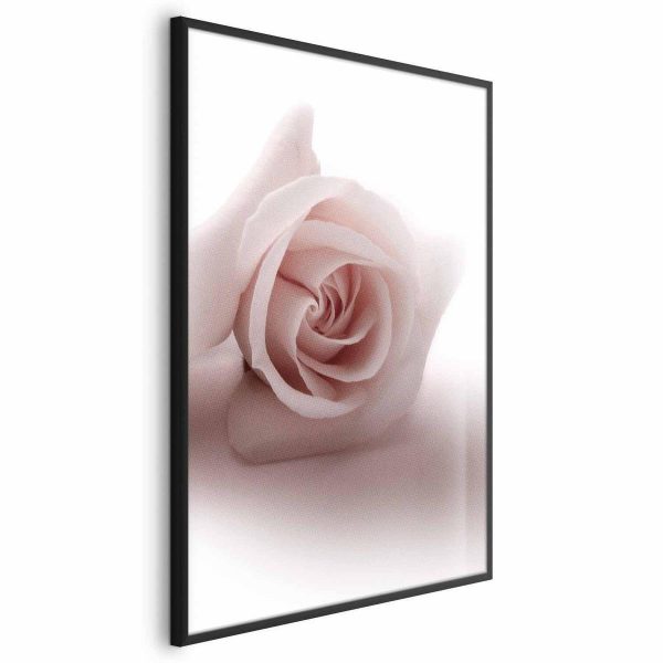 Poster - Rose Shadow
