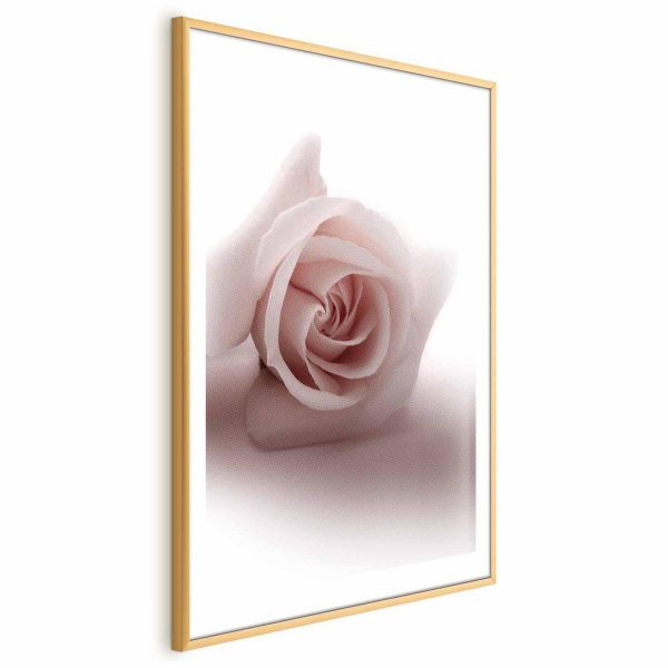 Poster - Rose Shadow