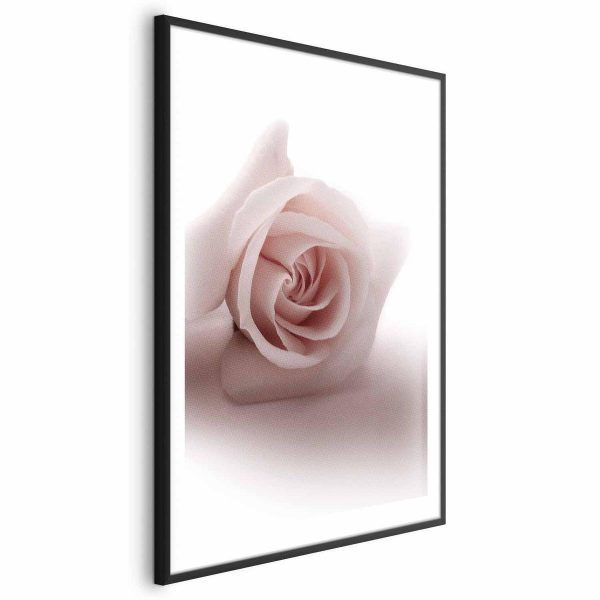 Poster - Rose Shadow