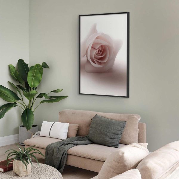Poster - Rose Shadow