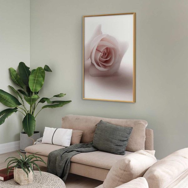 Poster - Rose Shadow