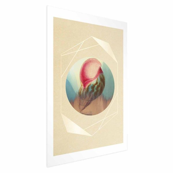 Poster - Shell