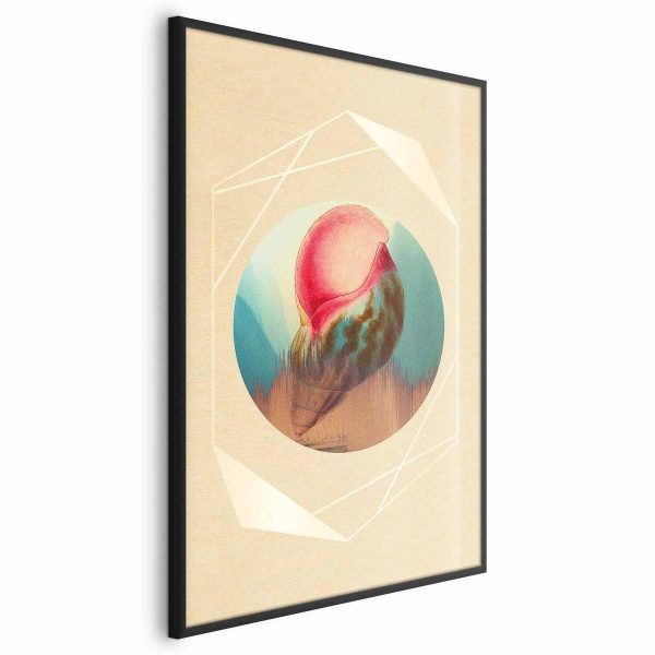 Poster - Shell