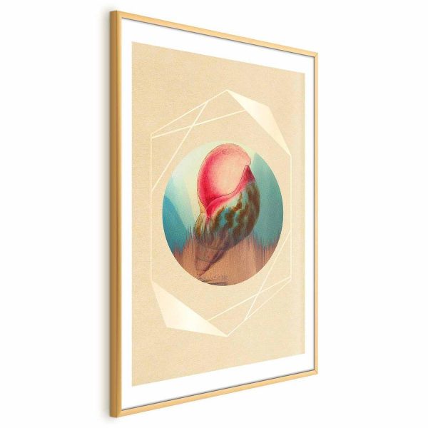 Poster - Shell