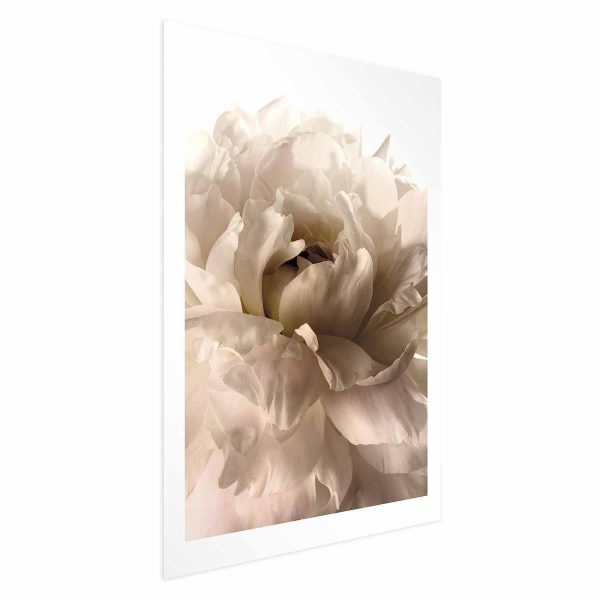 Poster - Soft Petals