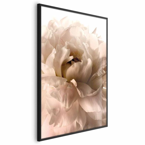 Poster - Soft Petals