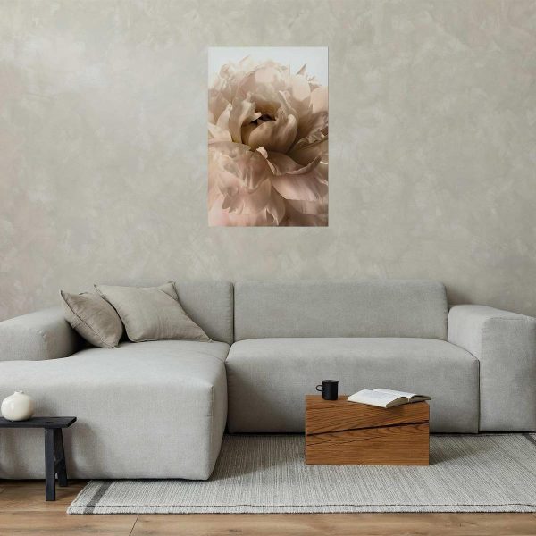 Poster - Soft Petals
