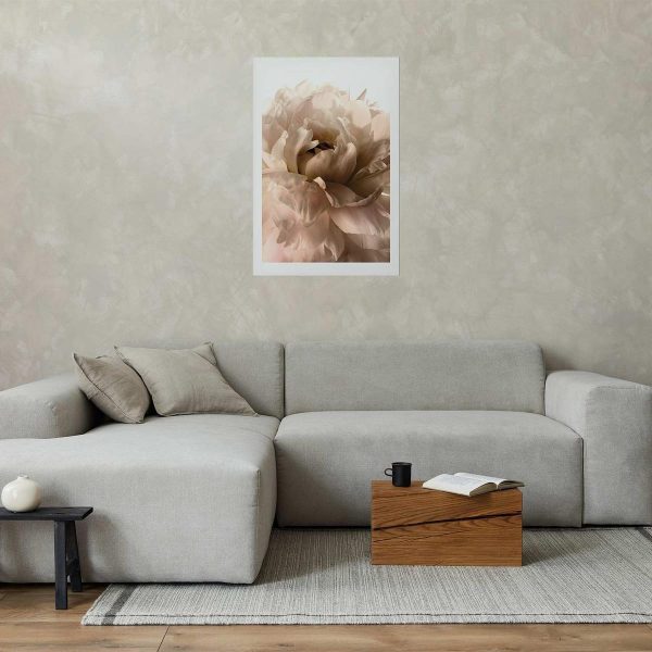 Poster - Soft Petals