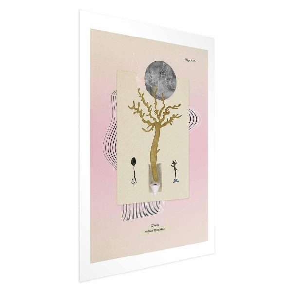 Poster - Unusual Plant