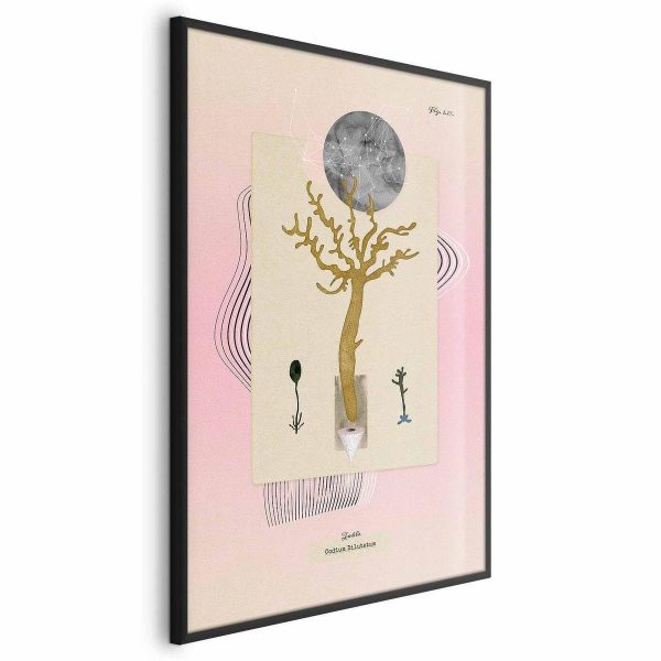 Poster - Unusual Plant