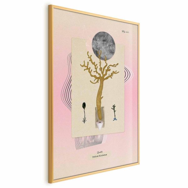 Poster - Unusual Plant