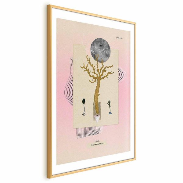 Poster - Unusual Plant