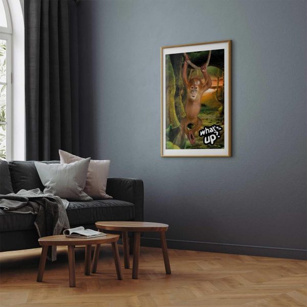 Poster - What's Up?