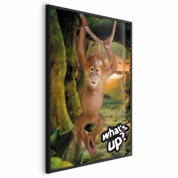Poster - What's Up?