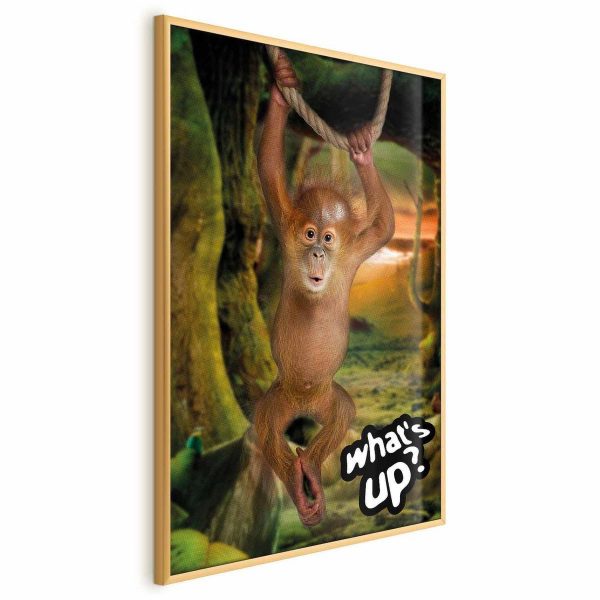 Poster - What's Up?
