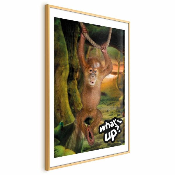 Poster - What's Up?