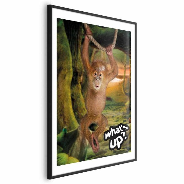 Poster - What's Up?