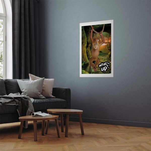 Poster - What's Up?