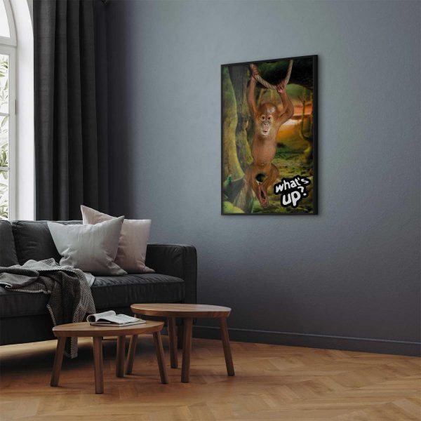 Poster - What's Up?