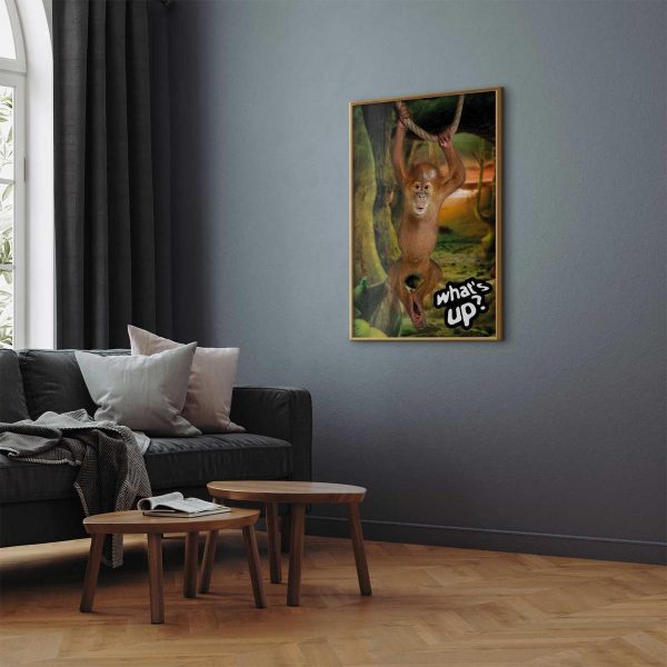 Poster - What's Up?