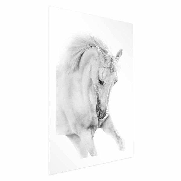 Poster - White Horse