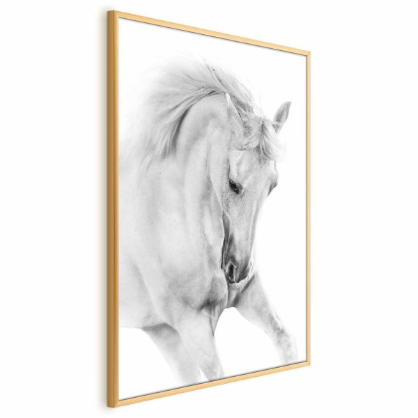 Poster - White Horse