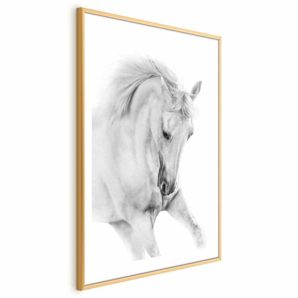 Poster - White Horse