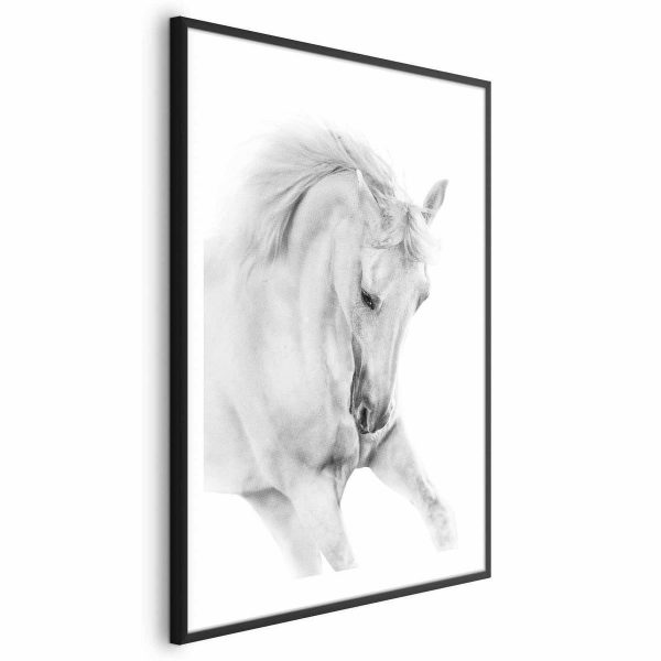 Poster - White Horse