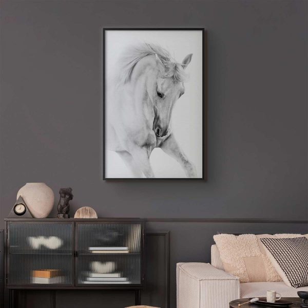 Poster - White Horse