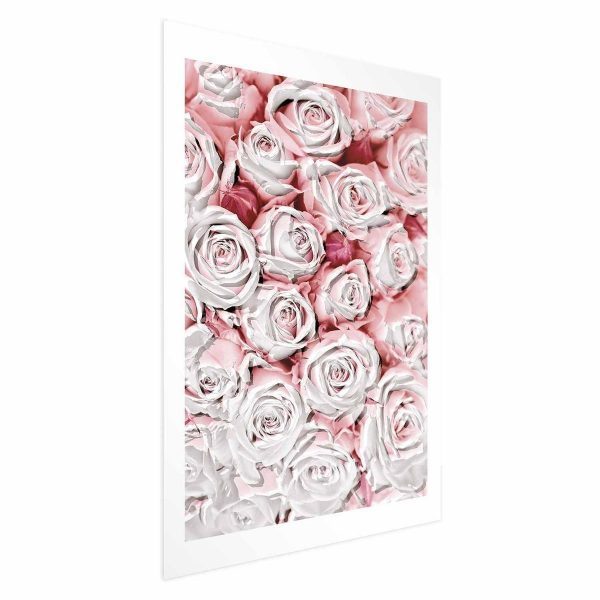 Poster - White Roses