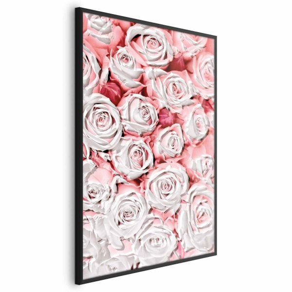 Poster - White Roses