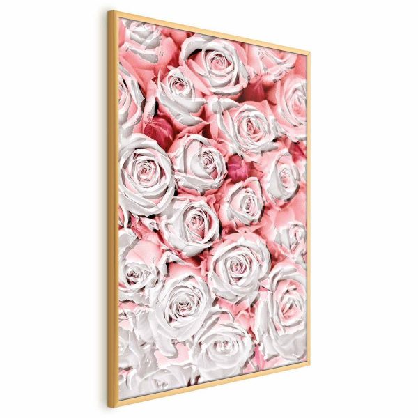 Poster - White Roses