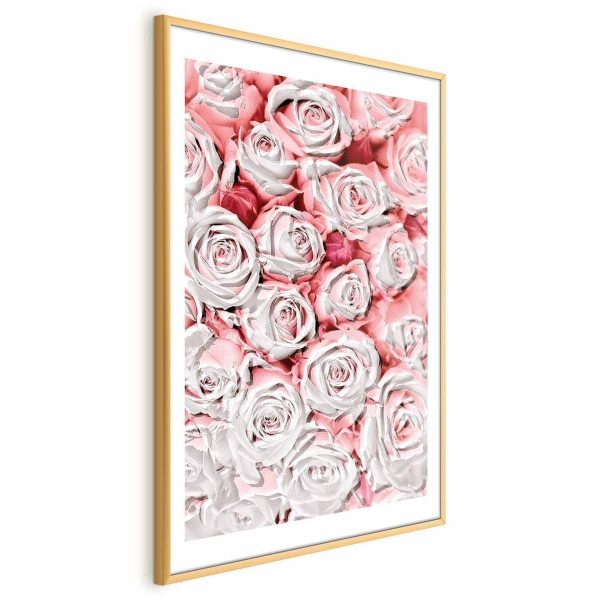 Poster - White Roses