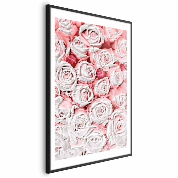 Poster - White Roses